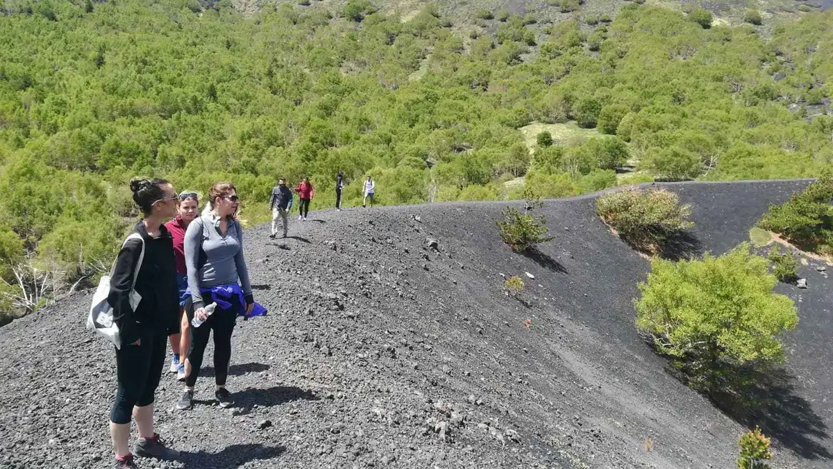 Morning crater trek with lunch on a Mount Etna tour from Taormina, Sicily